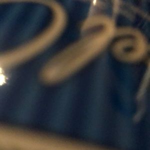 Meet your Posher, Nolan